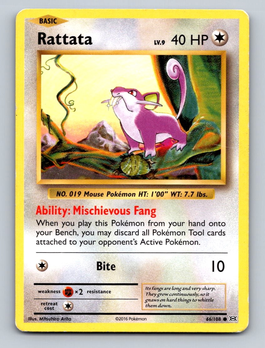 Rattata Common XY - Evolutions 66/108 NM